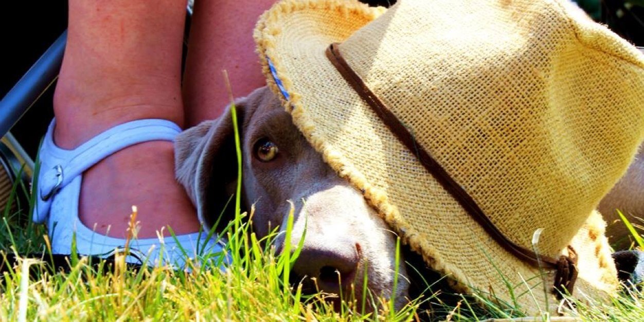 charlottenamber's profile banner image