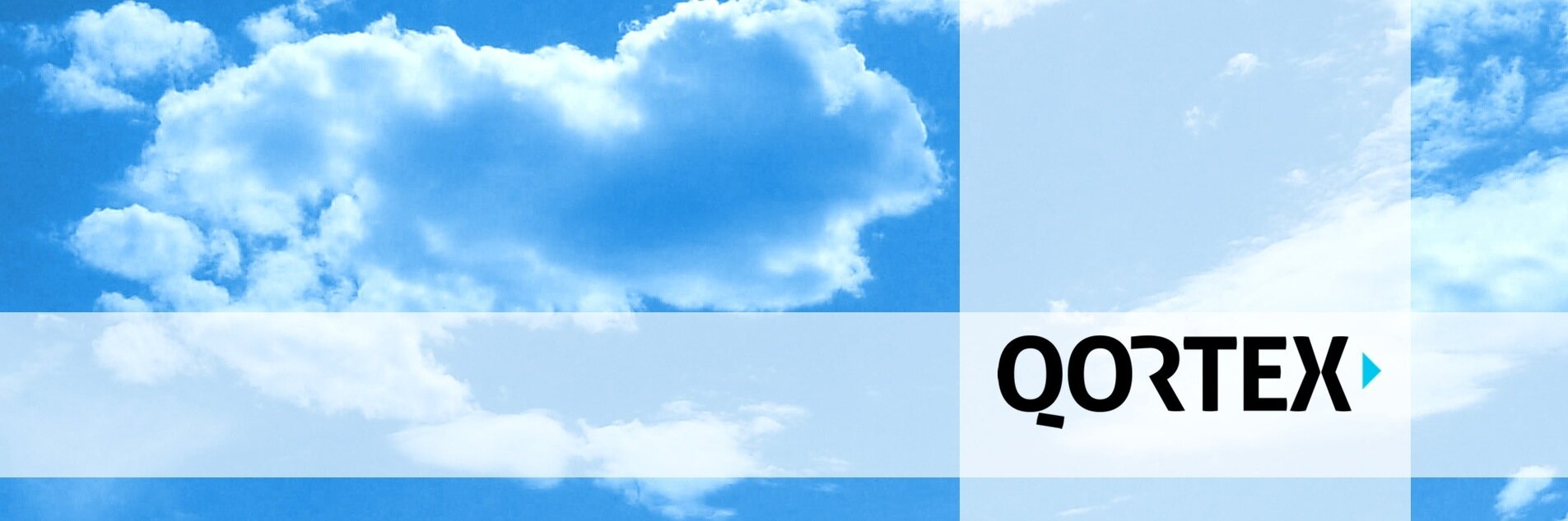 Qortex banner