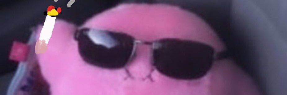 temporarycatz's profile banner image