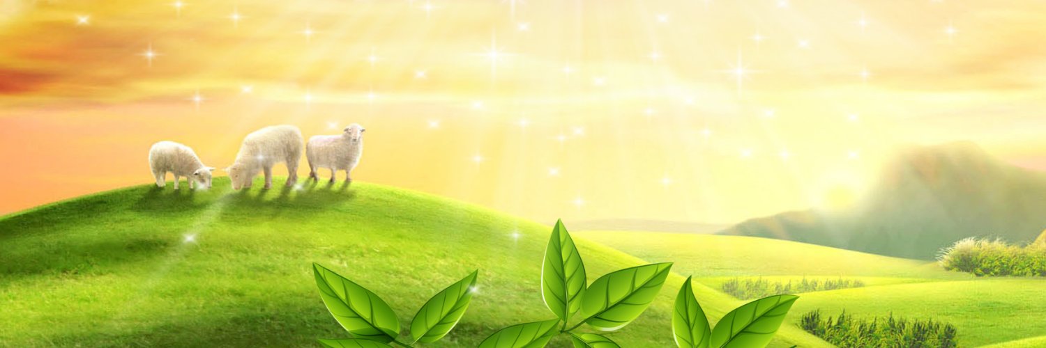 summerleafoz's profile banner image