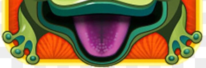 hai banner