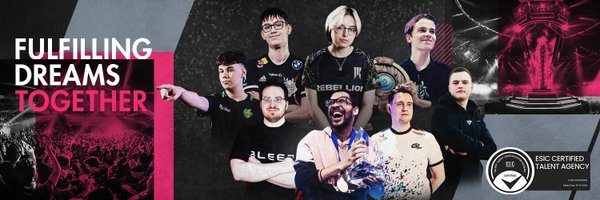 segesports Profile Banner