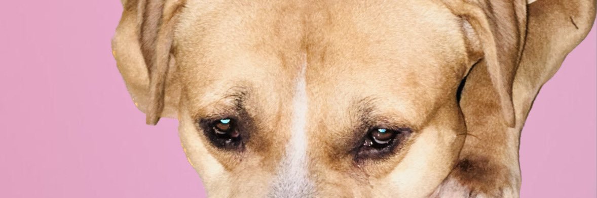 ItzelLlanosm's profile banner image