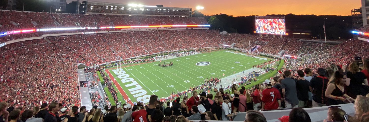 Georgia Bulldogs banner