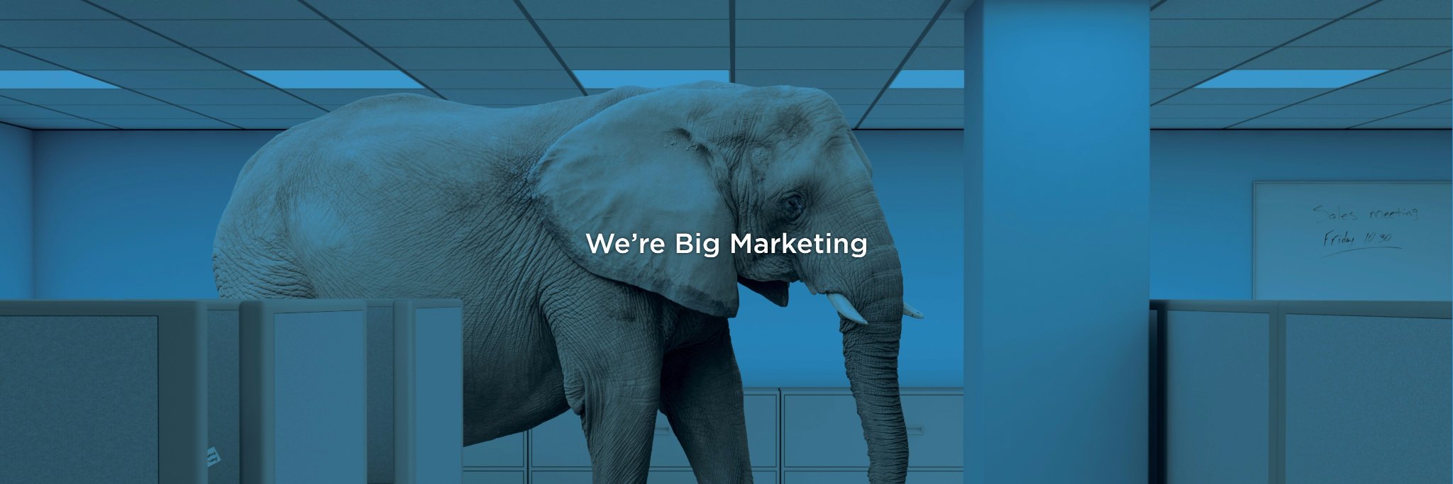 thinkzBIG's profile banner image