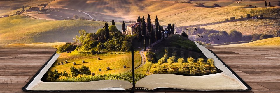 LuisAlonsoDev's profile banner image