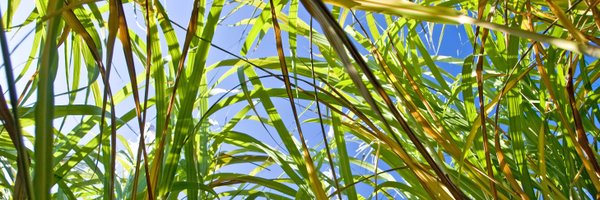 NHemeleers Profile Banner