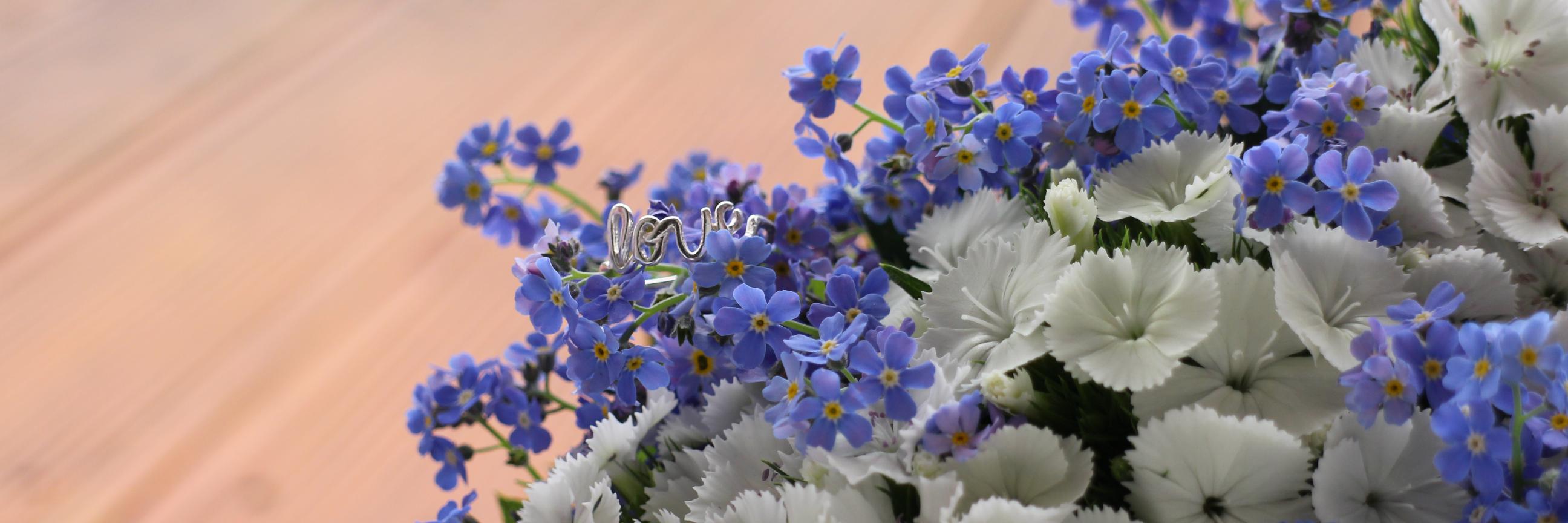 stephie_by's profile banner image
