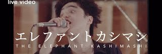 れいわ星の砂's banner