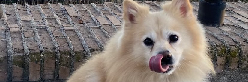 clorix banner