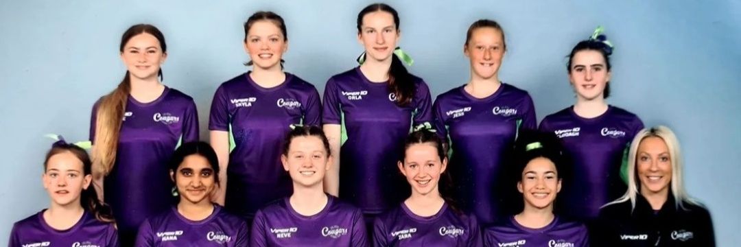 Bath Cougars NC banner