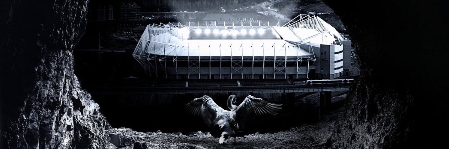 JT🐻🇺🇸🐻🇬🇷🦢 banner