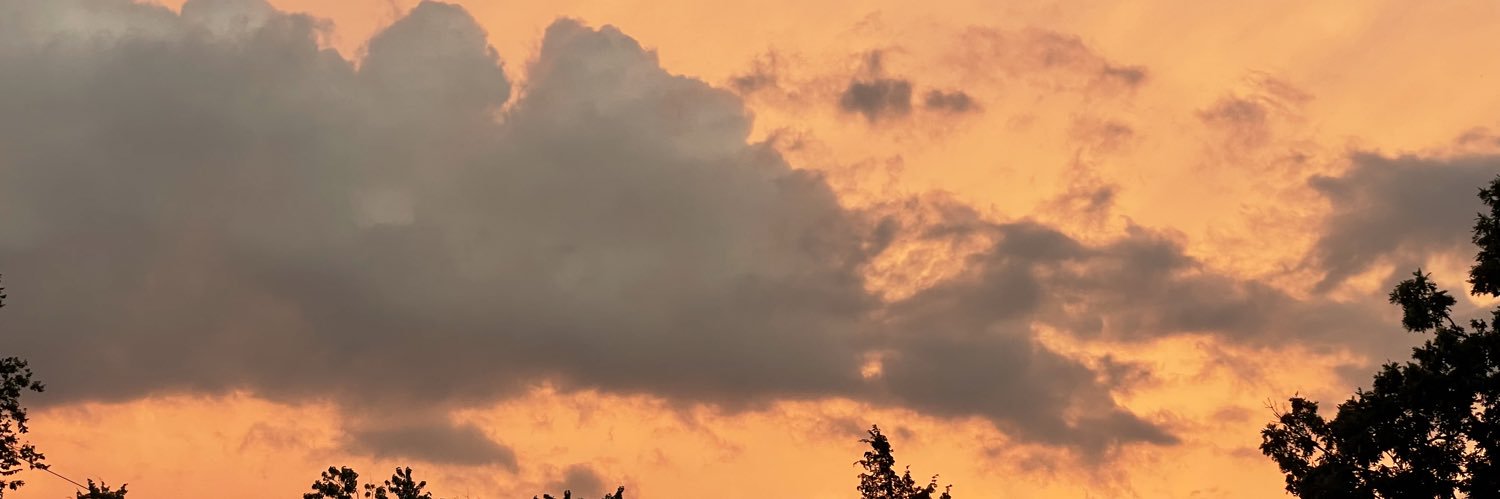 livstith's profile banner image
