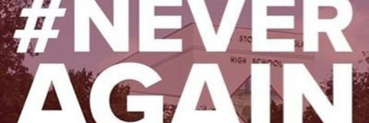 G_ELAR_AHS's profile banner image