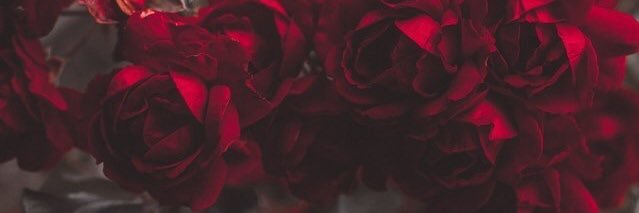 __zizzee's profile banner image
