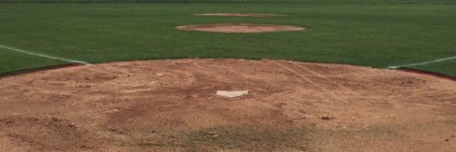 Maga Republican Mike banner