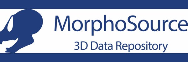 MorphoSource Profile Banner