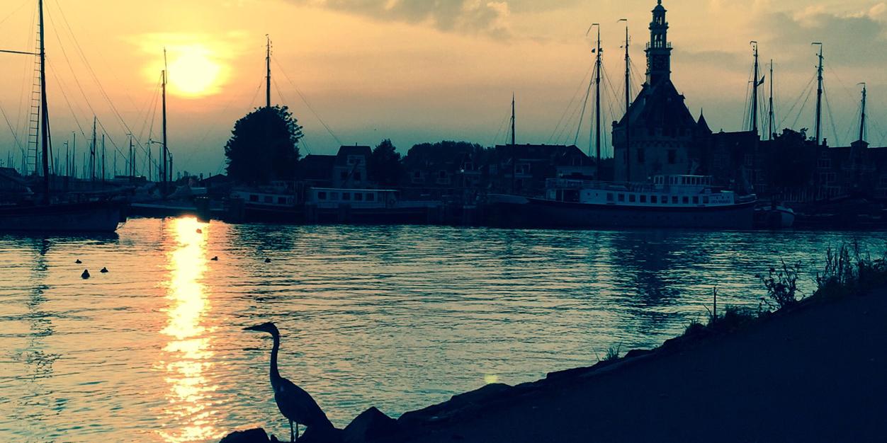 gerardsieben's profile banner image
