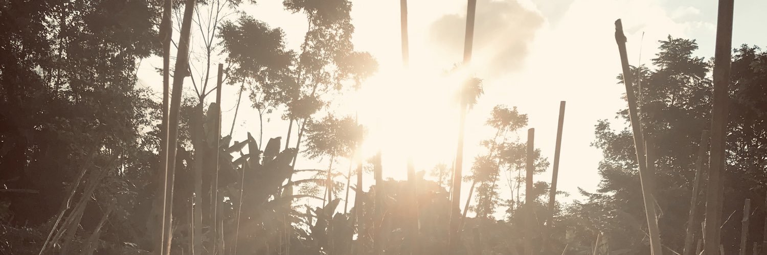 nenglagi_'s profile banner image