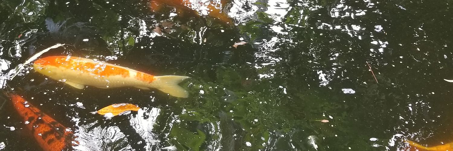 Fury/Rationale banner