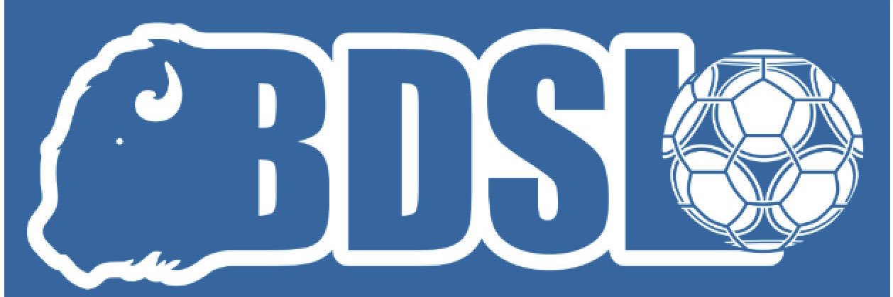 BDSL O35 DIVISION banner