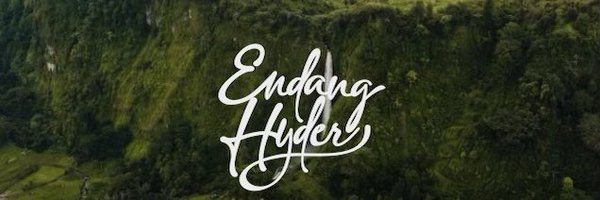 Endang Hyder Profile Banner