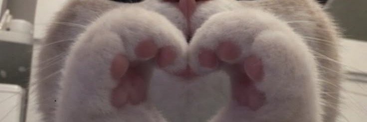miaagreeniee's profile banner image