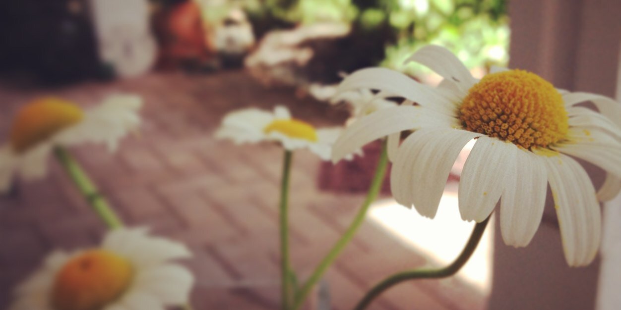 megcoffey's profile banner image