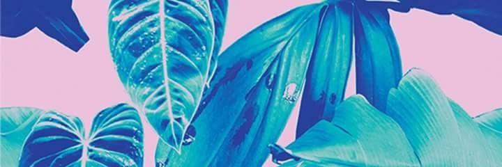 dariff89_'s profile banner image