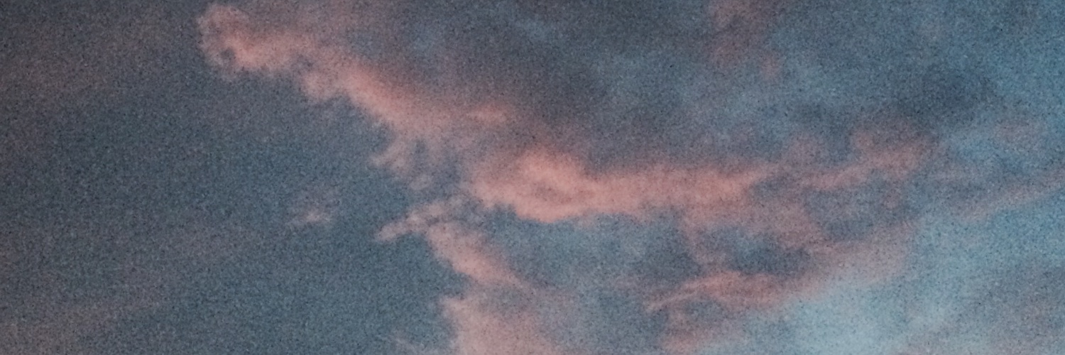 nindhiyaaffr's profile banner image