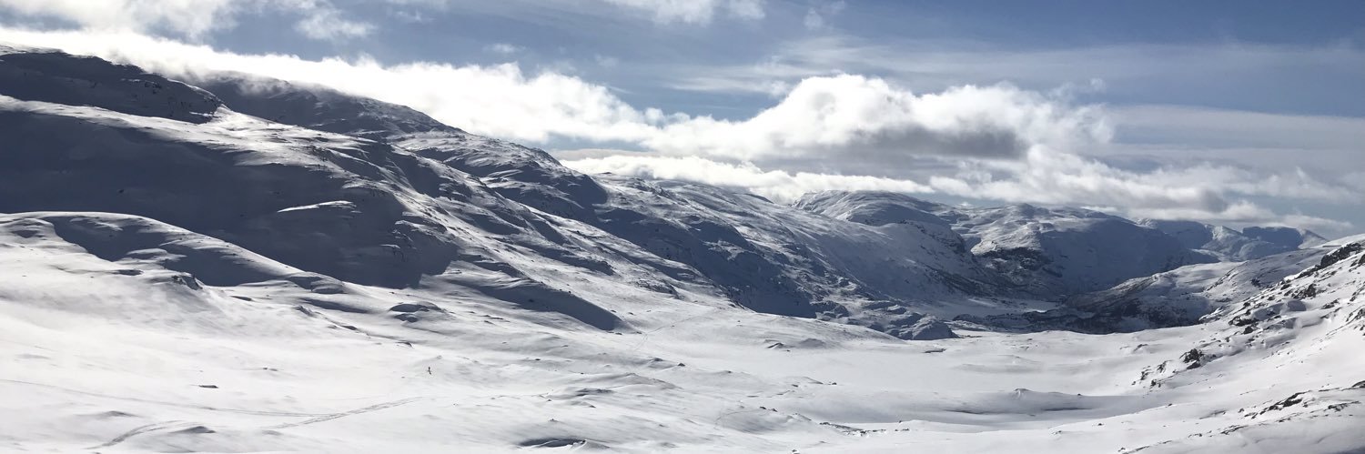 Kari M. Erstad banner