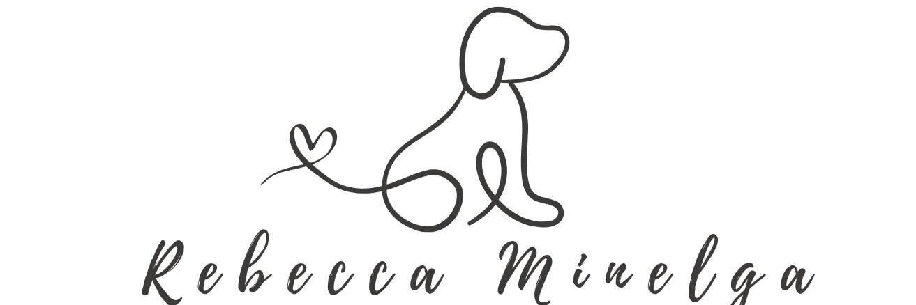 Rebecca Minelga - THIRD AND LONG Out Now!'s banner