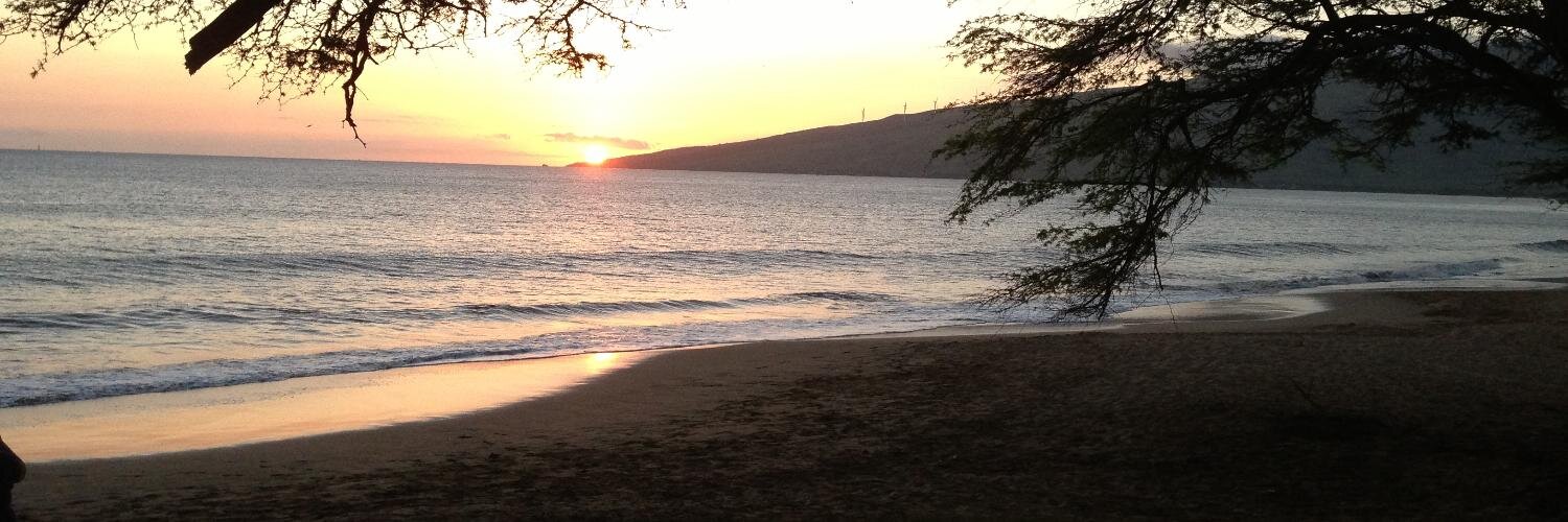 Trading Places Maui banner