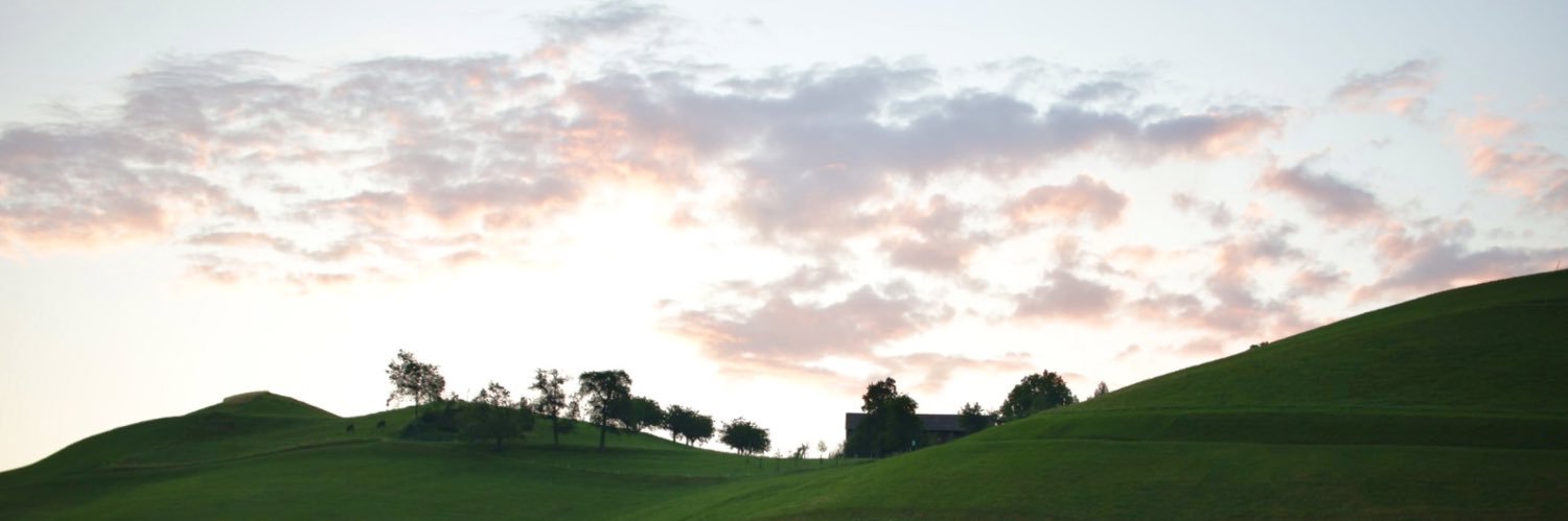 WernerBachofen's profile banner image