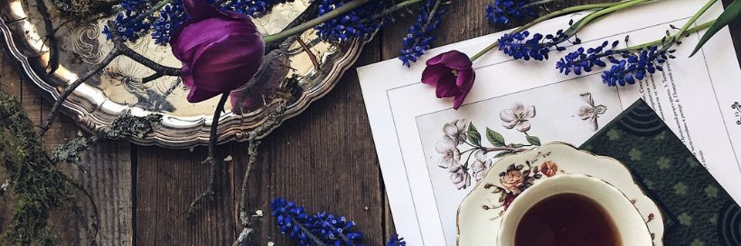DanikaJA's profile banner image