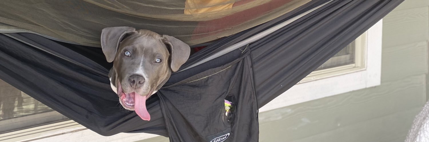 Electric KooleAid banner