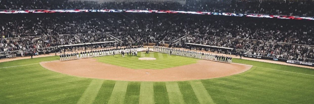 Peter Griffin banner