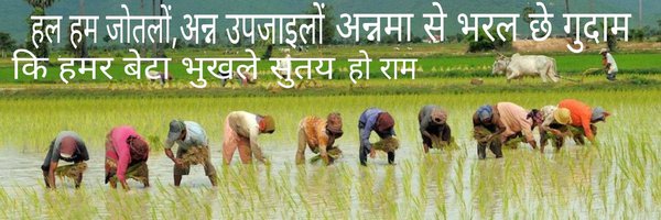 DrDayanandbhar2 Profile Banner