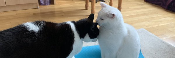 OssieAndLuna Profile Banner