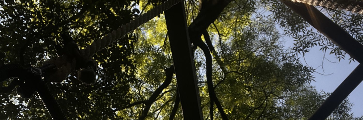 yociifer's profile banner image