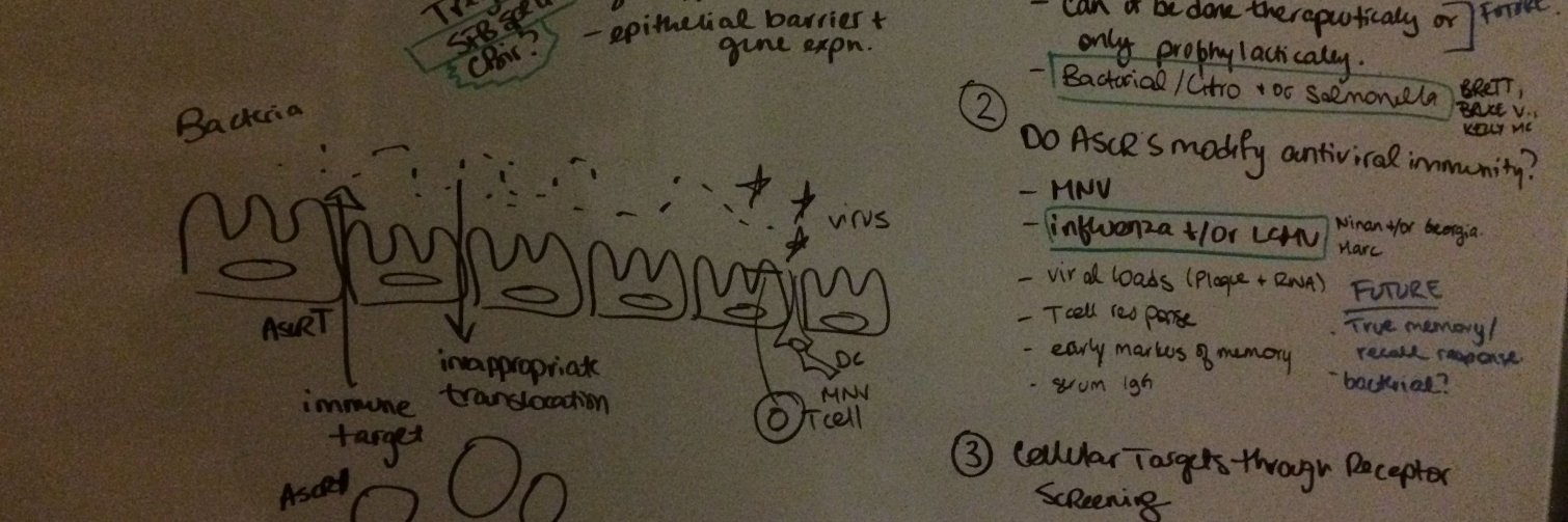 osbornelab_ubc (Lisa = she/her/hers) banner