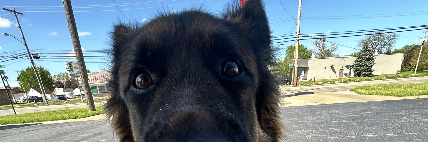 SweetChellee's profile banner image