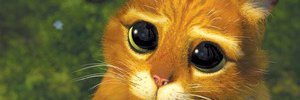 tomason26's profile banner image