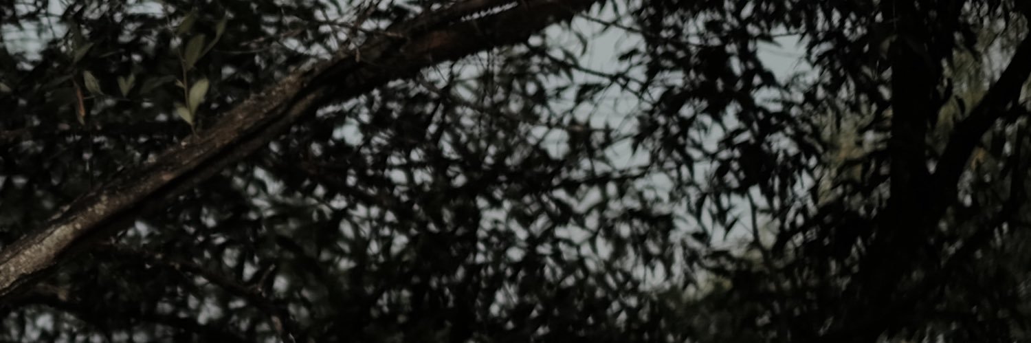 kasyidi kasim banner