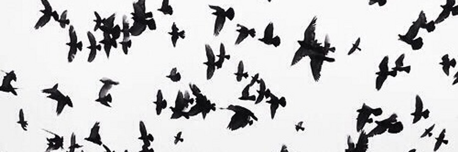 deina221's profile banner image
