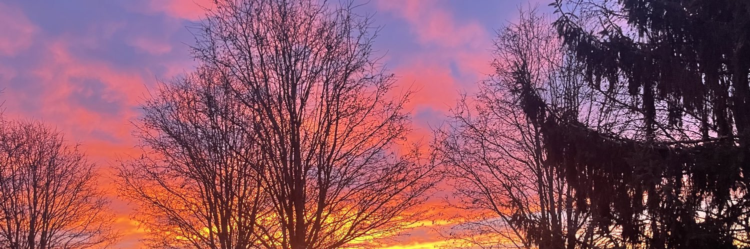 Proud to be a Polak 🌎 banner