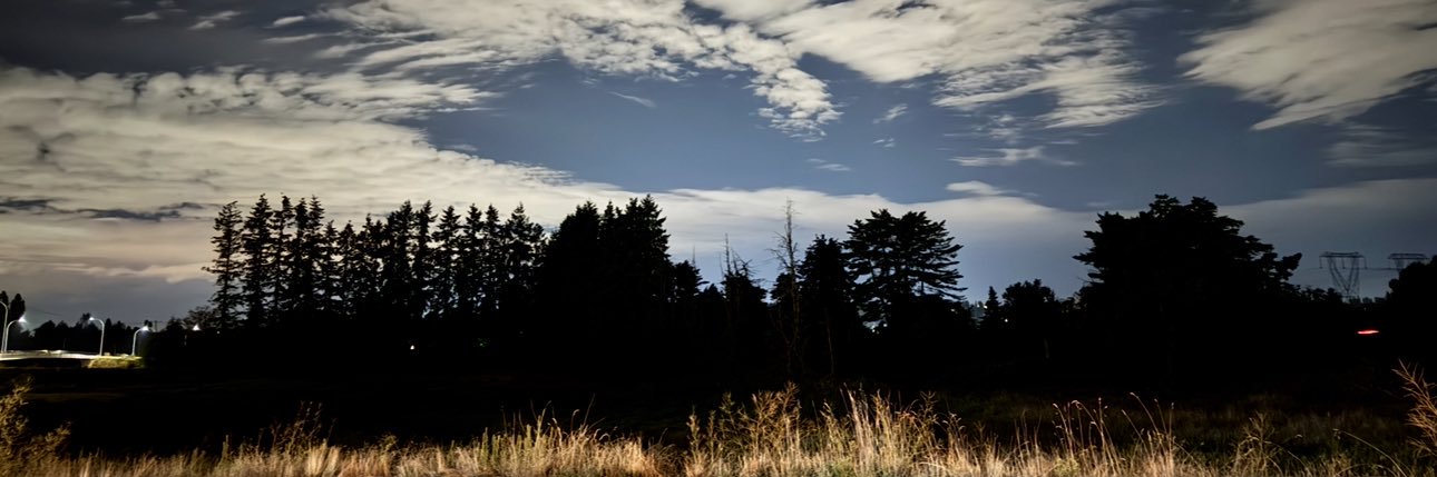 Cst. Holly Christie banner