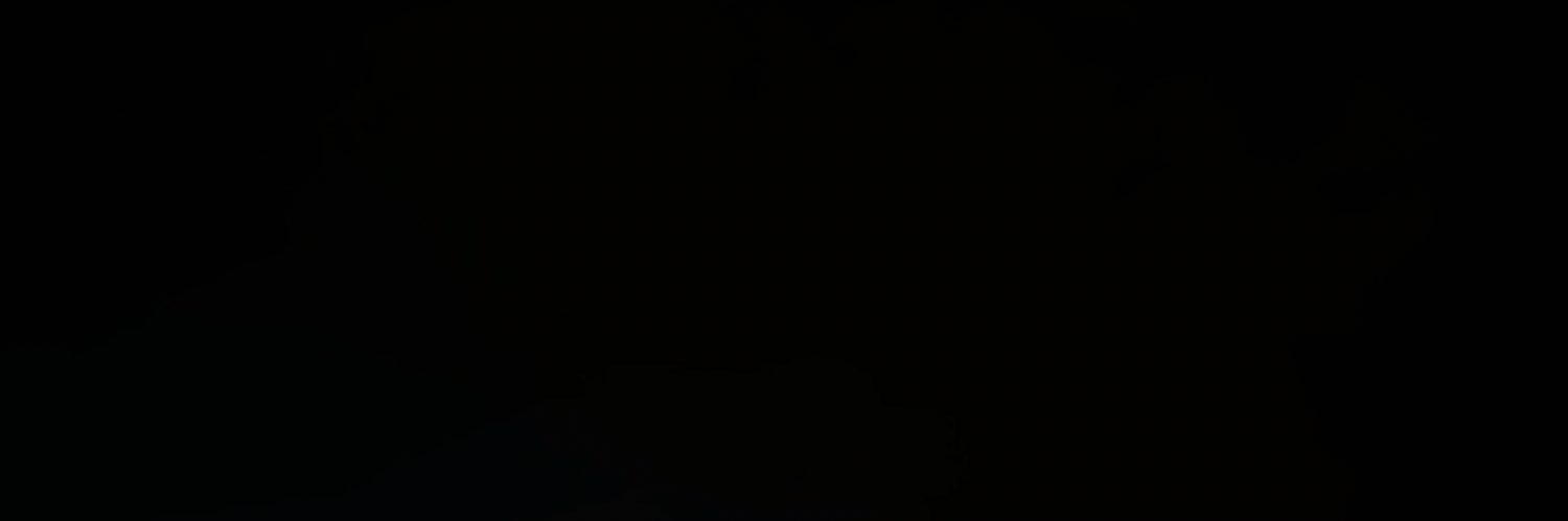 cameron_tilly's profile banner image