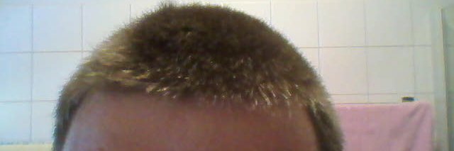 Markus Walter banner