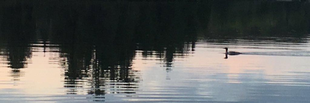 MsMandy73's profile banner image